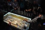 Варна - Най-старото обработено злато