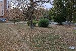 Плевен - Скетборд площадка - първа копка