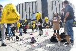 София - мирно шествие в подкрепа на заложниците на "Хамас"