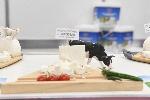 София - Хранителни изложения - откриване