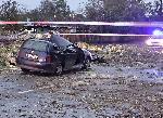Дърво е паднало върху автомобил в София, има убит