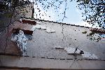 Варна - Огромни щети и жертви след ураганния вятър