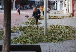 Варна - Продължава почистването на щетите от  ураганният вятър