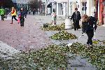 Варна - Продължава почистването на щетите от  ураганният вятър