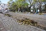 Варна - Продължава почистването на щетите от  ураганният вятър