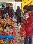 Плевен - Изложение на пчеларите