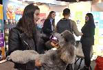 София - Интер експо център - Изложение Sofia Zoo Expo