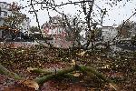Варна - Силен вятър и обилен снеговалеж