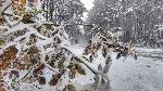 Варна - Силен вятър и обилен снеговалеж