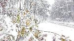 Варна - Силен вятър и обилен снеговалеж