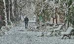 Силистра - Тежка зимна обстановка