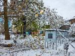 София - Тежка зимна обстановка през ноември - Паднали клони и дървета
