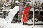 София - Тежка зимна обстановка през ноември - Паднали клони и дървета