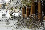 София - Тежка зимна обстановка през ноември - Паднали клони и дървета