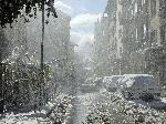 София - Тежка зимна обстановка през ноември - Паднали клони и дървета