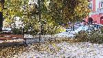Плевен - Снежна обстановка