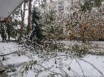 Силистра - Тежка зимна обстановка