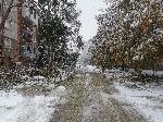 Силистра - Тежка зимна обстановка
