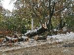 Силистра - Тежка зимна обстановка