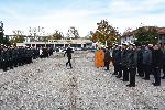 Варна - Валидиране на марка