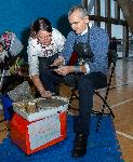 Лондон - Първи български футболен турнир за деца във Великобритания