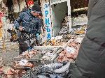 София - опашка за риба