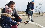 Варна  - скандинавските лебеди отново са на плажа