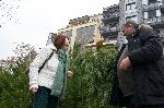 Варна  - Продажба на Коледни дръвчета