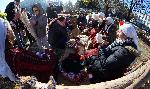 Димитровград - Кулинарен конкурс Коледна трапеза