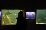 Варна - Ден на отворените врати във варненския аквариум