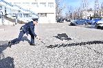 София - Полиция - преносима система за принудително спиране на автомобил