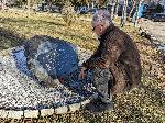 Само един човек в Плевен почете загиналите в Кербала воини