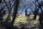 София - пейзаж