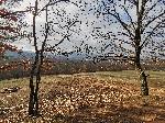 София - горски пейзаж