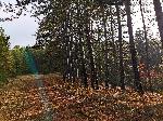 София - горски пейзаж