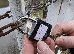 Плевенчани връзват любовта си за новата година