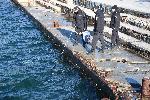Варна - Водолази оглеждат за опасни предмети