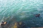 Варна - Водолази оглеждат за опасни предмети