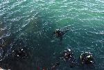 Варна - Водолази оглеждат за опасни предмети