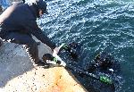 Варна - Водолази оглеждат за опасни предмети