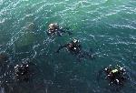 Варна - Водолази оглеждат за опасни предмети