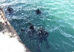 Варна - Водолази оглеждат за опасни предмети
