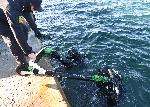 Варна - Водолази оглеждат за опасни предмети