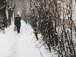 София - снежна София