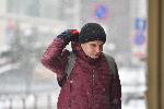София - заседание на НС на БСП