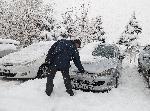 Плевен - Снежна обстановка