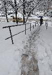 Плевен - Снежна обстановка