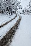 Плевен - Снежна обстановка