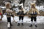 Фестивал 'Сурова Брезник 2024'