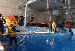 Варна - Център по оцеляване на море